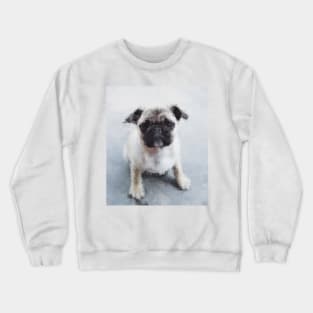 Low Poly Pug Crewneck Sweatshirt